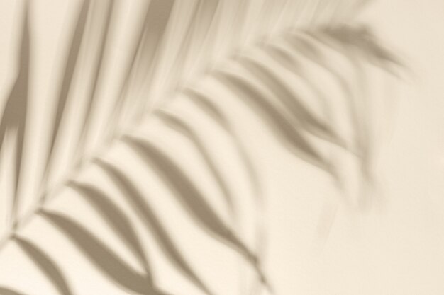 Sombra de folha de palmeira natural em papel amarelo claro