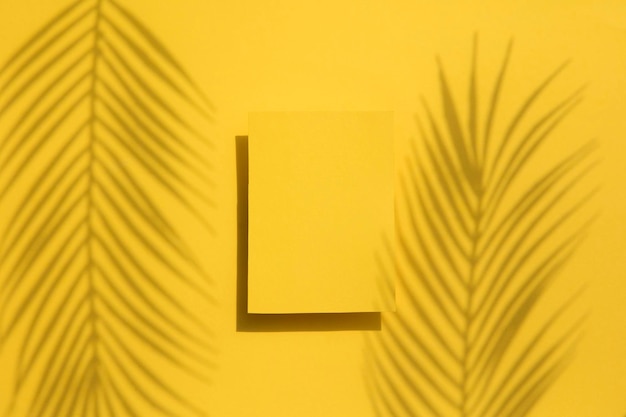 Sombra de folha de palmeira tropical em um rótulo amarelo em branco Fundo exótico de verão