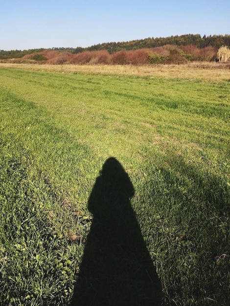 Foto sombra de mulher no campo gramado contra o céu