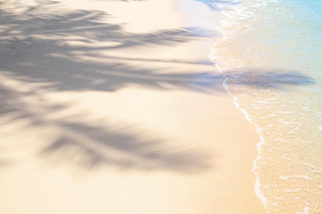 Sombra de palmeira na areia branca com fundo tropical de água do mar