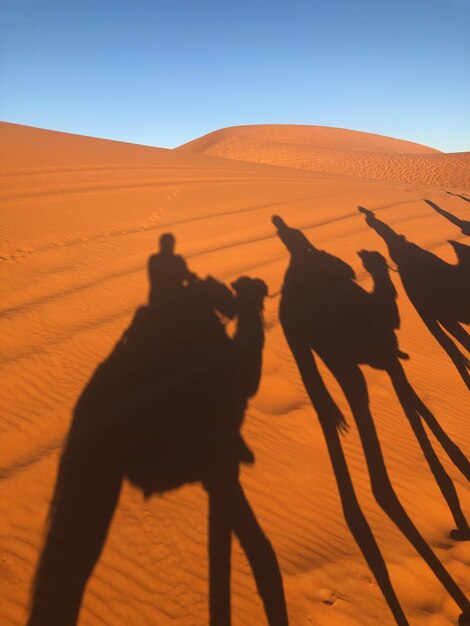 Sombra de pessoas a cavalgar na areia