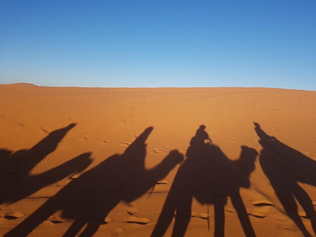 Foto sombra de pessoas em dunas de areia