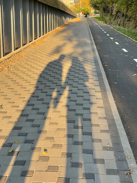 Foto sombra de um casal de mãos dadas na calçada