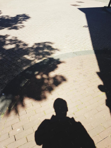 Foto sombra de um homem a caminhar por um caminho