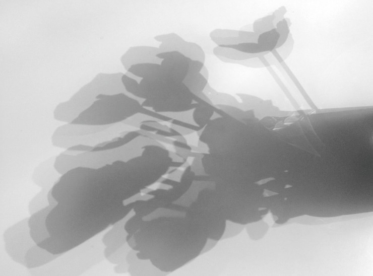 Foto sombra de um vaso de flores na mesa