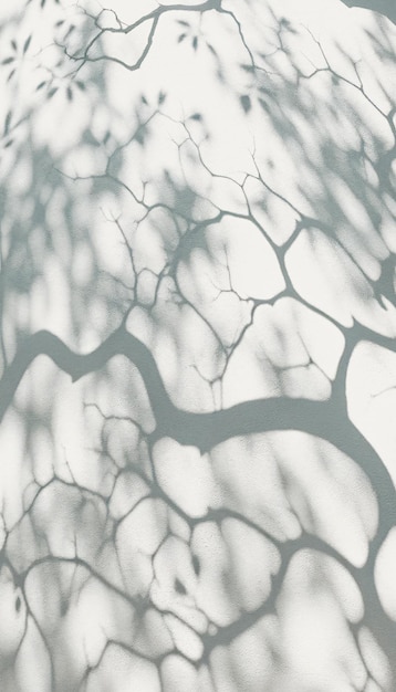 Foto sombra estética abstrata em parede texturizada branca sombra elegante através de folhas e galhos
