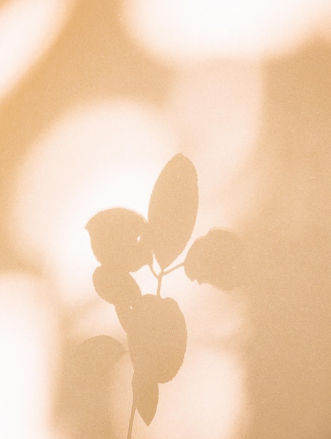 Sombra de hoja con estilo en la pared beige. Fondo estético mínimo