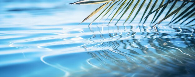 La sombra de la hoja de palma en el agua crea un fondo de playa abstracto perfecto para vacaciones Concept Vacation Beach Background Abstract Photography Palm Leaf Shadow Reflection Water