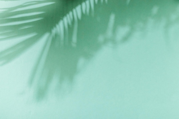 Sombra de hoja de palma sobre fondo verde Concepto exótico mínimo de verano con espacio de copia