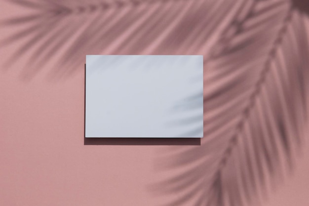 Sombra de hoja de palma tropical en un marco de tarjeta blanca Fondo de verano exótico