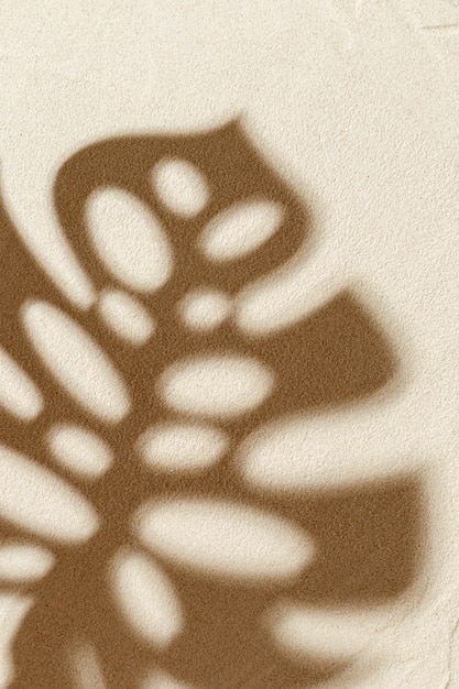 Sombra de hoja de palmera monstera sobre fondo de arena Concepto mínimo de armonía de verano