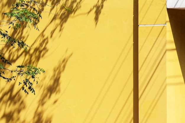 Sombra de una hoja y rama en el muro de hormigón amarillo