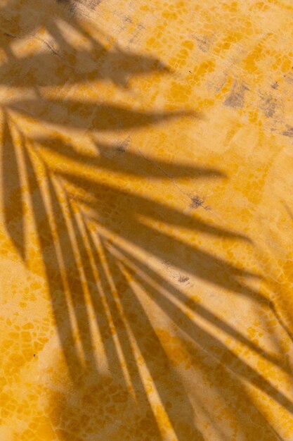 Foto sombra de hoja tropical creativa sobre fondo de pared amarilla