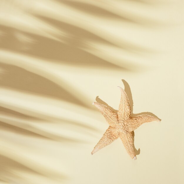 Sombra de hojas de palmera y estrellas de mar sobre fondo de color arena como en la playa