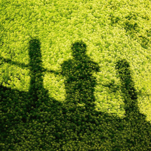 Foto la sombra del hombre en la alfombra verde de duckweed