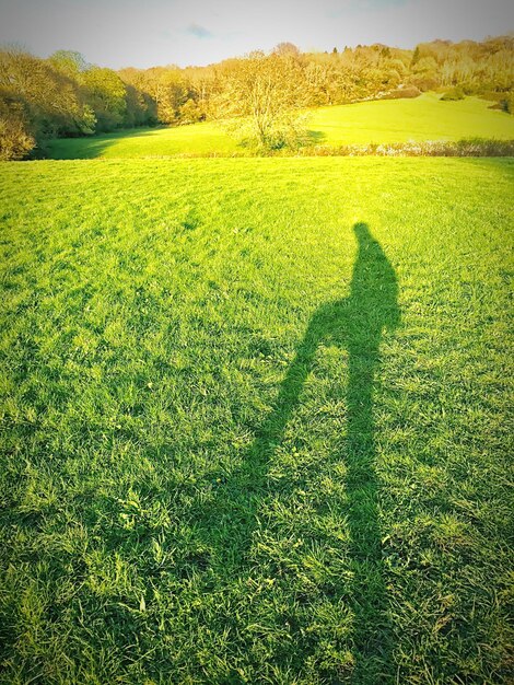 Foto la sombra del hombre en el campo de hierba