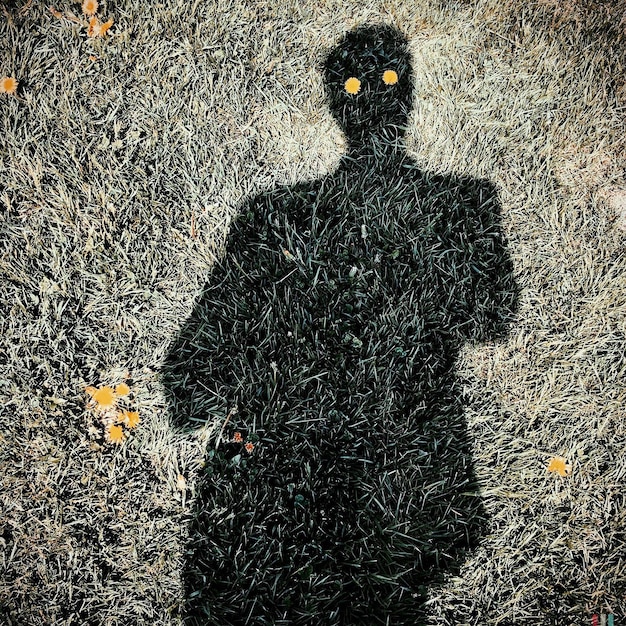 La sombra del hombre en la flor de la hierba que representa los ojos