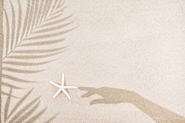 Foto sombra de mano femenina y hojas de palmera, estrella de mar sobre arena.