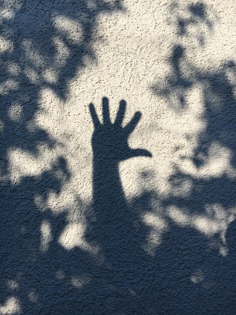 Foto la sombra de la mano en la pared