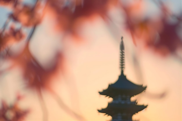 Foto la sombra de la pagoda mira la flor del cerezo