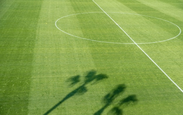 Sombra de palmeras en un campo de fútbol