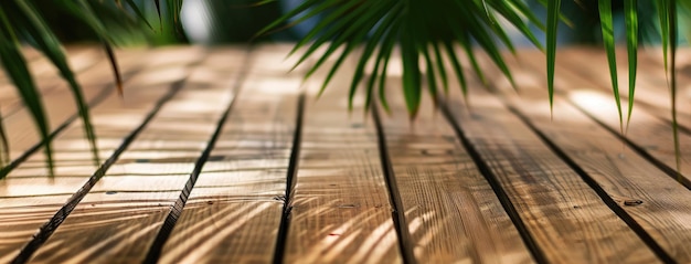 La sombra de las palmeras tropicales en el patrón de la cubierta de madera