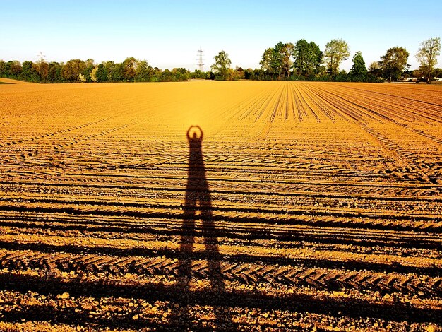 Foto sombra de una persona en el campo