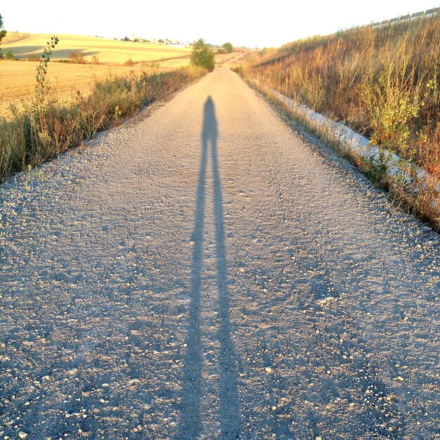 Foto sombra de una persona en el campo
