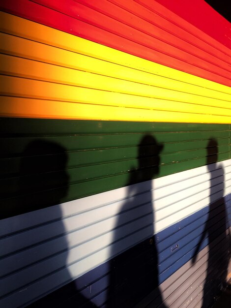 Foto sombra de una persona en la carretera