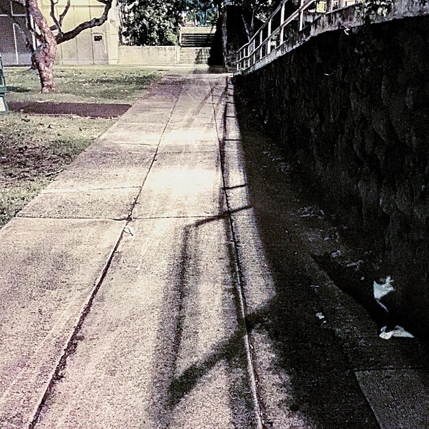 Foto sombra de personas en el sendero