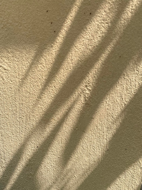 Foto una sombra de una planta en una pared.