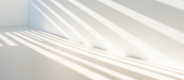 Sombras abstratas de luz solar em fundo branco