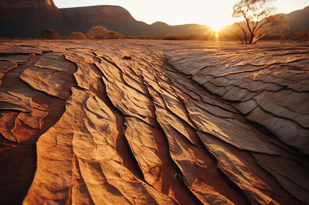 Foto las sombras bailan en la superficie texturizada de uluru a medida que se pone el sol