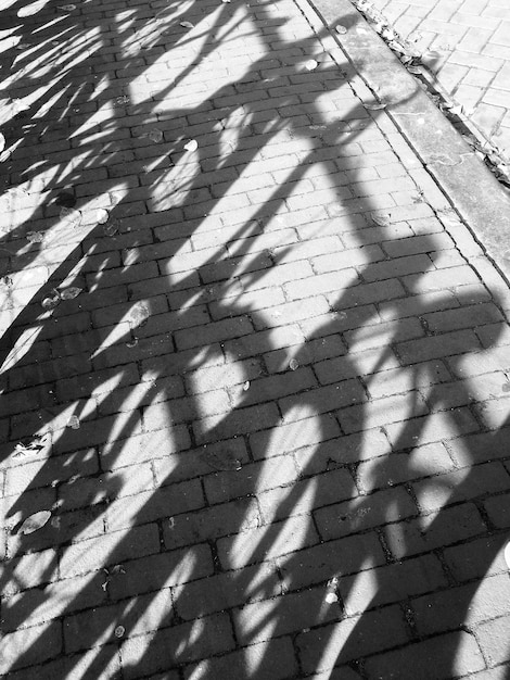 Foto sombras de bicicletas en el suelo