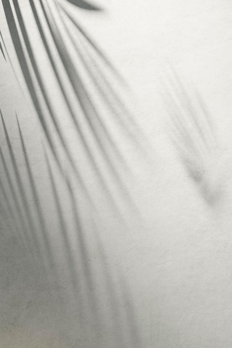 Foto sombras de árvores de sol de várias texturas de fundo