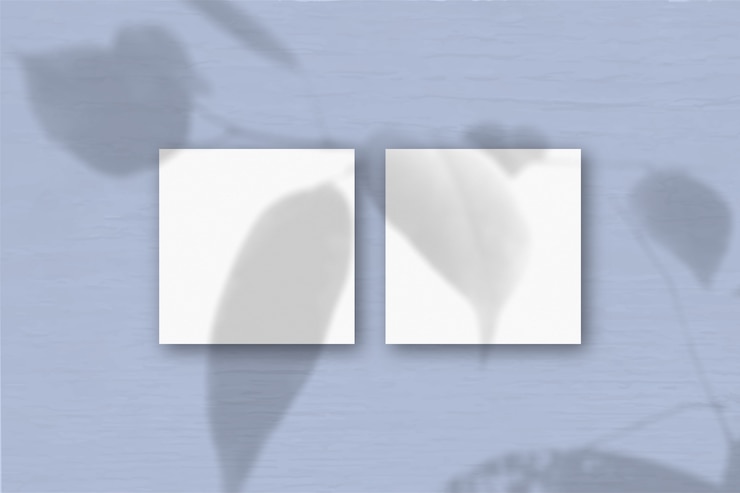 Foto sombras de uma planta exótica em várias folhas horizontais e verticais de papel texturizado branco