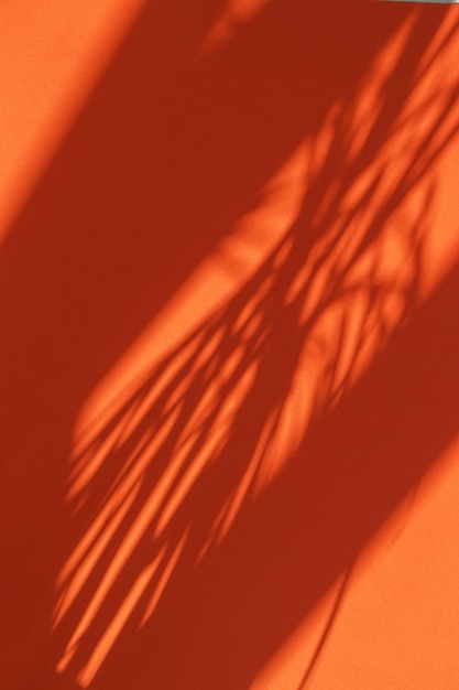 Foto sombras do sol na parede vermelha fundo contrastante com sombras