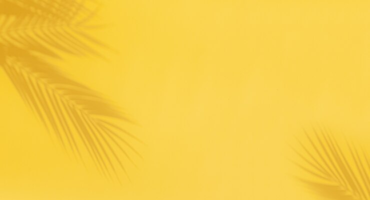 Sombras de hojas de palmera sobre fondo amarillo. Fondo claro abstracto de hojas de palmera de sombras con espacio de copia.