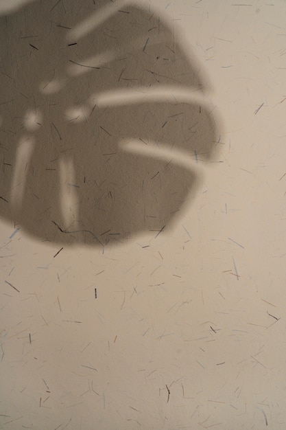 Foto sombras naturais e abstratas