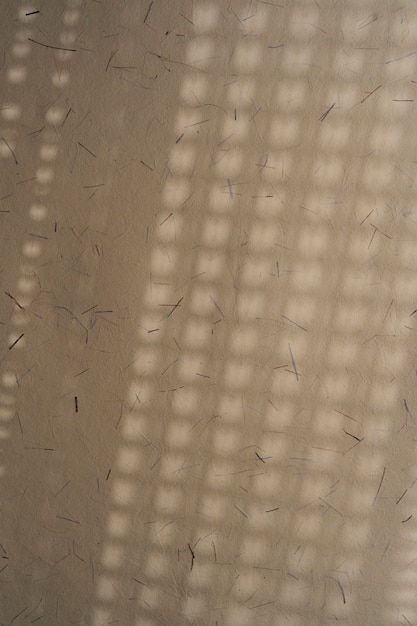 Foto sombras naturais e abstratas