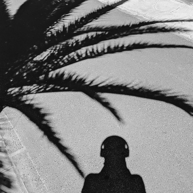 Sombras de palma y hombre. Vibraciones tropicales mínimas