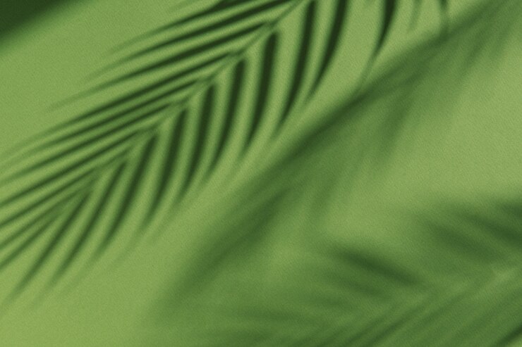 Sombras de palmeras sobre fondo verde