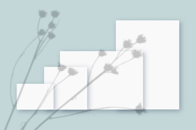 Sombras de plantas superpuestas en 4 una hoja horizontal y vertical de papel blanco con textura sobre un fondo de tabla azul