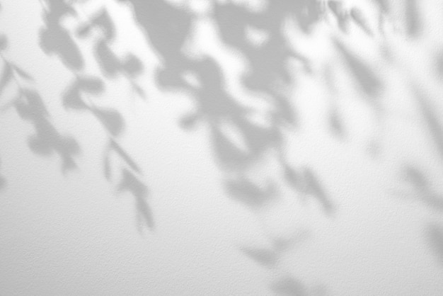 Sombras de ramas de hojas sobre pared blanca.