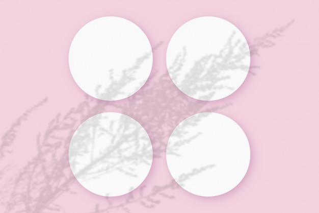 sombras vegetais sobrepostas em 4 folhas redondas de papel texturizado branco em um fundo de mesa rosa