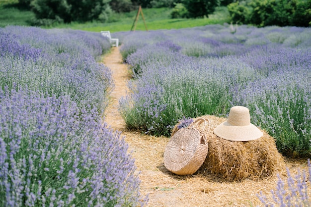 Sombrero de paja con una cesta de lavanda en un campo de lavanda