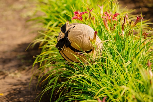 sombrero de paja en el jardín