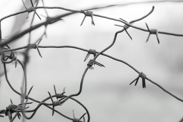 Una sombría vista en blanco y negro a través de una restricción de alambre de púas de la libertad y el encarcelamiento en una zona de régimen estricto o instalación militar