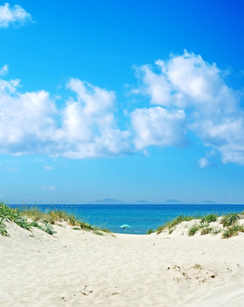 Sombrilla de playa sola bajo el cielo azul Filmada en Cerdeña Italia