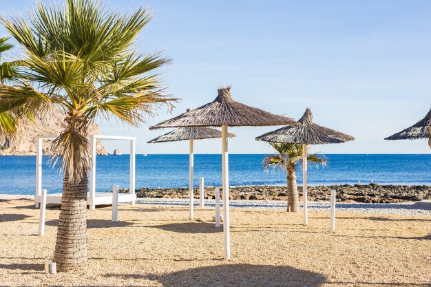 Sombrillas hechas de hojas de palmera en la playa